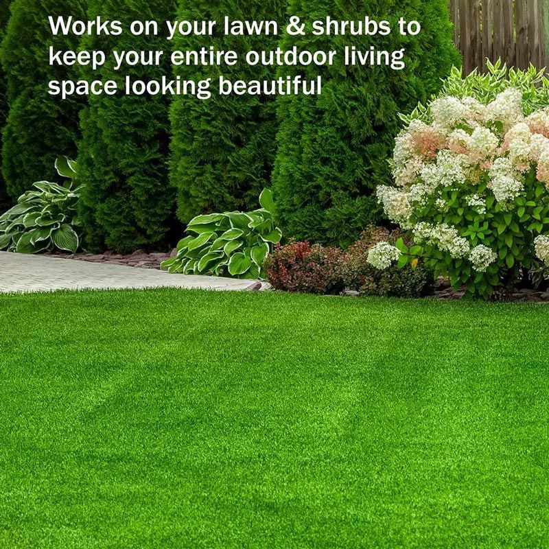 🔥Last Day Sale 50%🔥Green Grass Paint Spray🌿✅