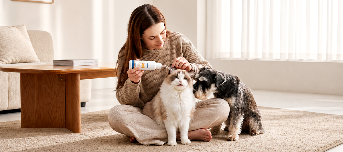 German Shepherd ear care