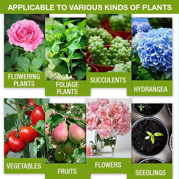 🔥Plant Nutrient Solution