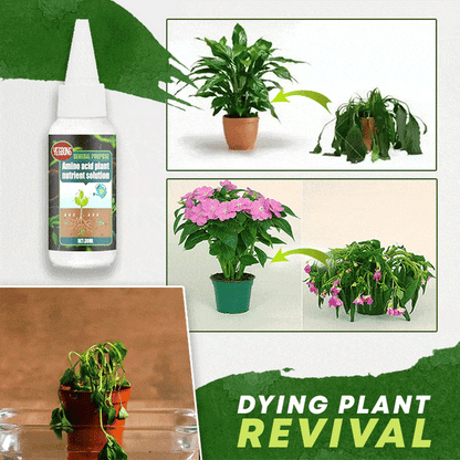 🔥Plant Nutrient Solution