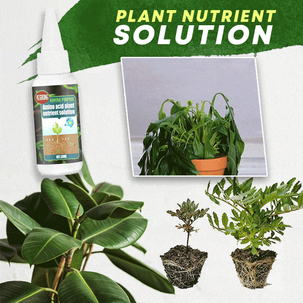 🔥Plant Nutrient Solution
