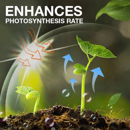 🔥Plant Nutrient Solution