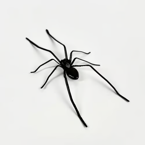 Spider Fridge Magnet🎁Realistic Spider Magnets, for Refrigerator, Garage Door, or Car