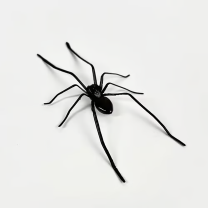Spider Fridge Magnet🎁Realistic Spider Magnets, for Refrigerator, Garage Door, or Car