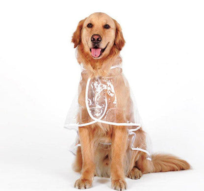 Transparent Raincoat For Dog