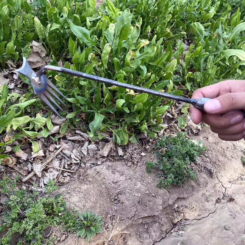 Manganese Steel Handheld Weeding Garden Rake