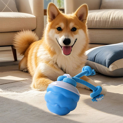 Interactive Electronic Pet Soothing Toy Ball
