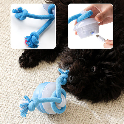 Interactive Electronic Pet Soothing Toy Ball