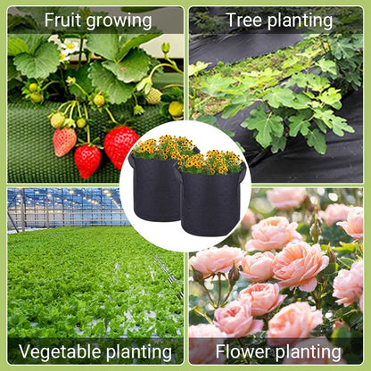 Micro Aerated Geotextile Plant Grow Bag（50% OFF）