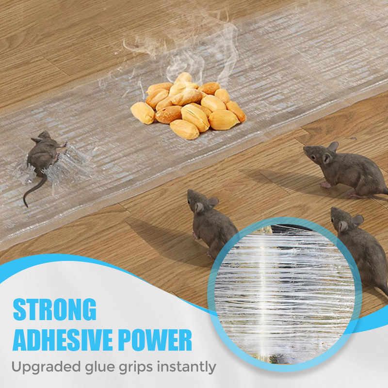 🔥Hot Sale🔥1.2M Large Transparent Mouse Trap