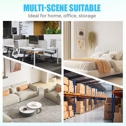 🔥Hot Sale🔥1.2M Large Transparent Mouse Trap