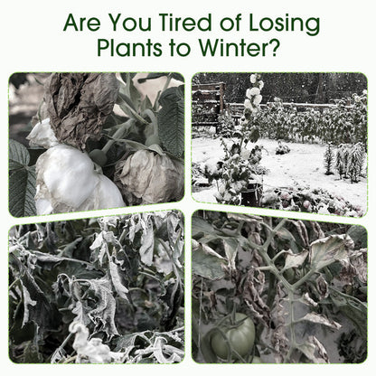 Clear Plant Frost Protection Bags