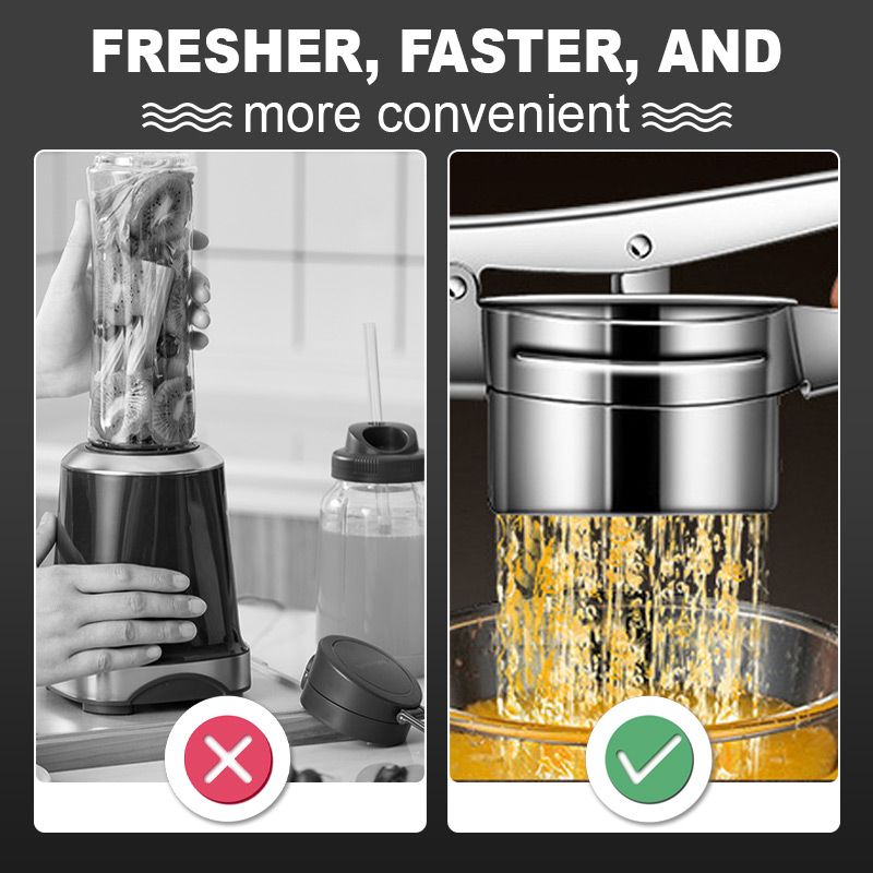 AEX Multifunctional Stainless Steel Potato, Juice & Food Press