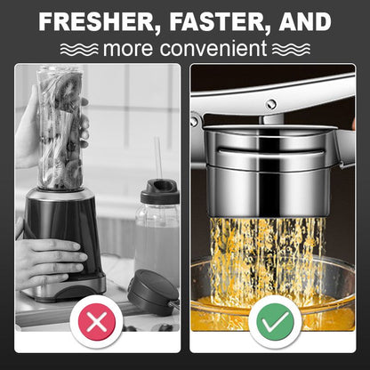 AEX Multifunctional Stainless Steel Potato, Juice & Food Press