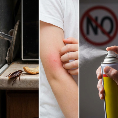 🌿60% OFF🌿 Plant-based insect repellent gel magic box, safe, worry-free, and long-lasting effective.