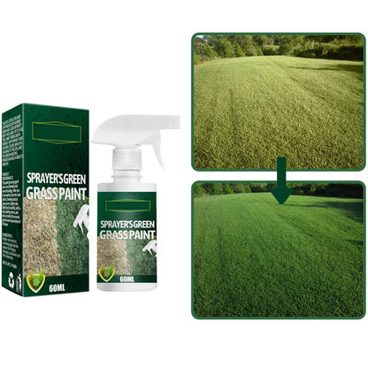 🔥Last Day Sale 50%🔥Green Grass Paint Spray🌿✅