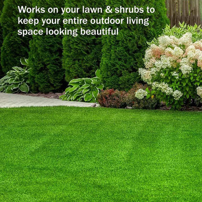 🔥Last Day Sale 50%🔥Green Grass Paint Spray🌿✅