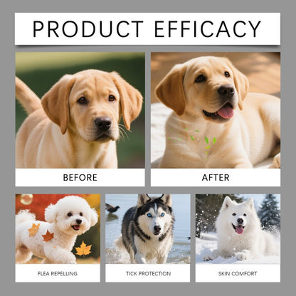 Natural Flea & Tick Prevention Spray for Dogs