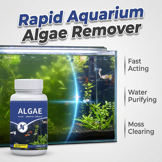 Fish Tank Algae Remover Tablets for Clear Water