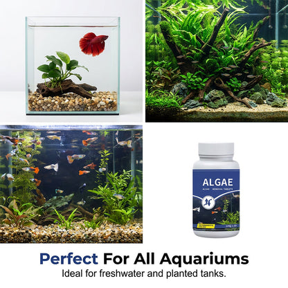 Fish Tank Algae Remover Tablets for Clear Water