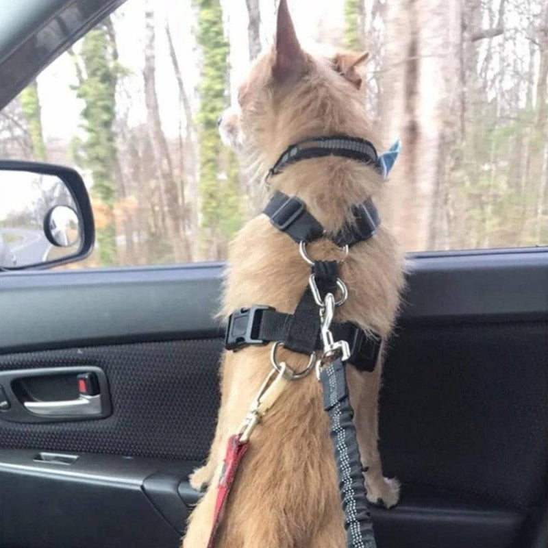 Adjustable Dog Seat Belt for Car