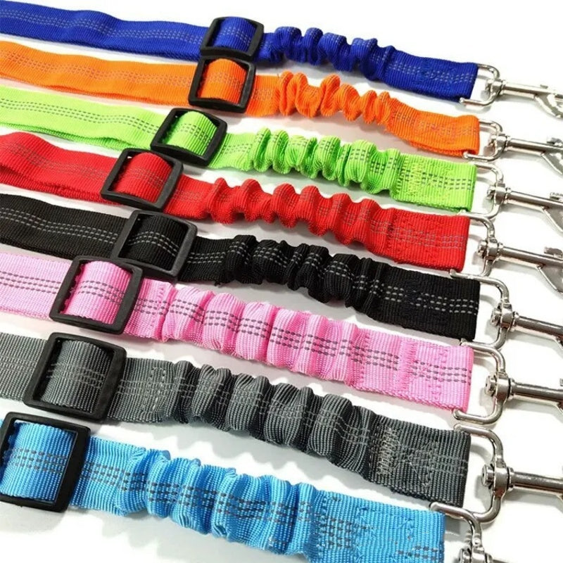 Adjustable Dog Seat Belt for Car
