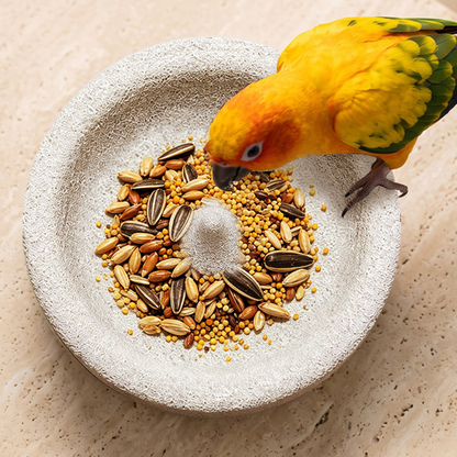 2-in-1 Volcanic Rock Bird Food Bowl & Beak Grinder