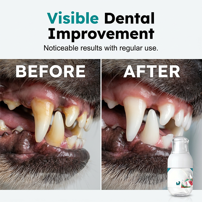 No-Brush Pet Dental Care Liquid