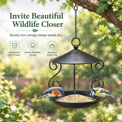 🐦 Covered Hanging Bird Feeder – Keep Bird Seed Drier Outdoors
